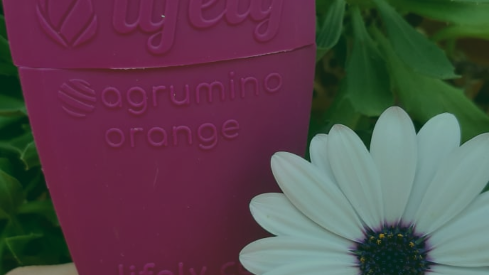 Agrumino ORANGE, the device for hobbyists now available!