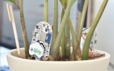 Agriculture: low-cost sensors revolutionize the industry