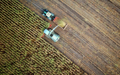 I Principali Trend del Settore Agricolo nel 2024: Innovazione e Sostenibilità in Prima Linea