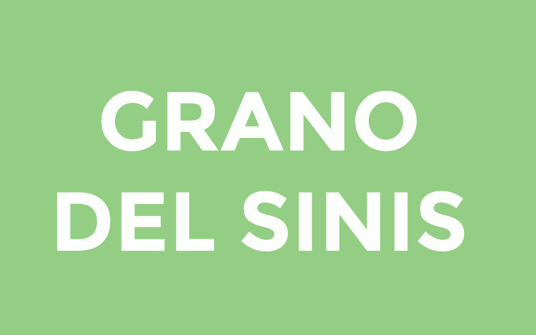 Grano del Sinis SARDO SOLE