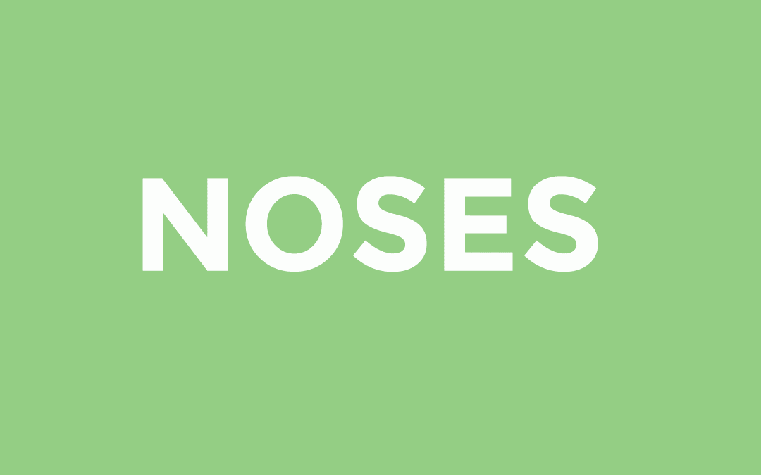 NOSES